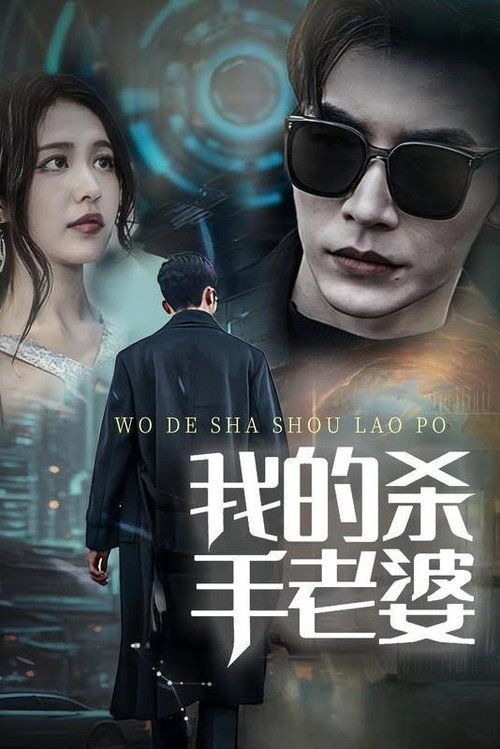 我的杀手老婆 poster