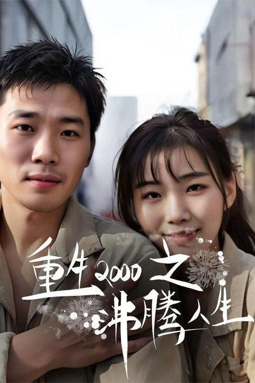重生2000之沸腾人生 poster