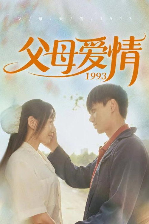 父母爱情1993 poster