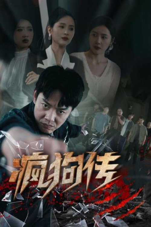 疯狗传 poster