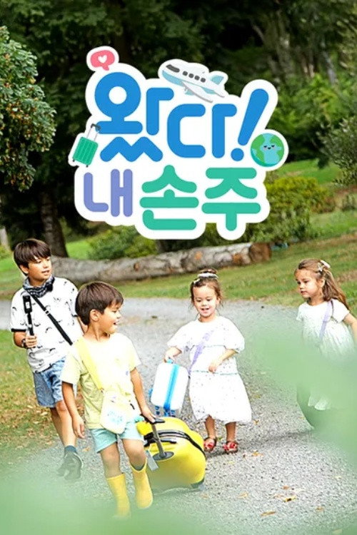 왔다! 내 손주 poster