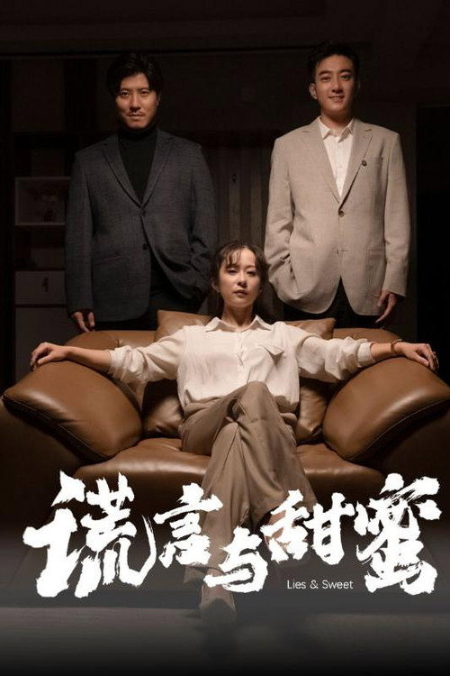 谎言与甜蜜 poster