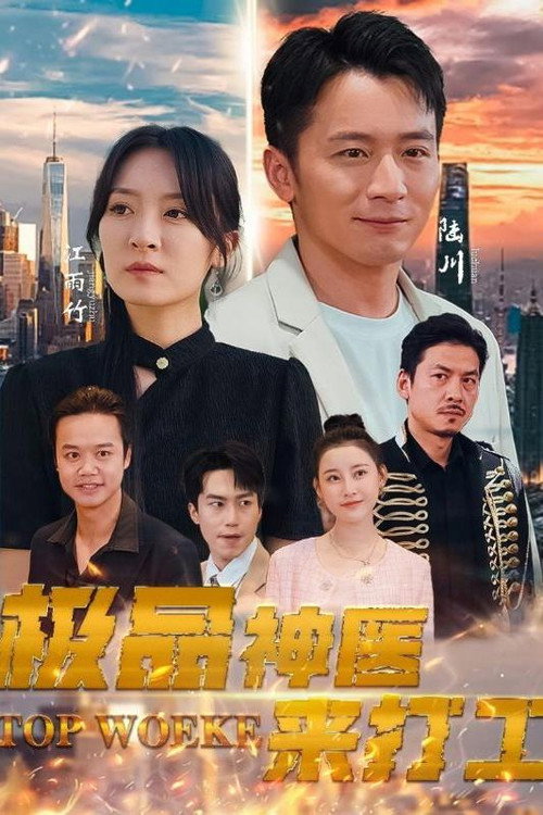 极品神医来打工 poster