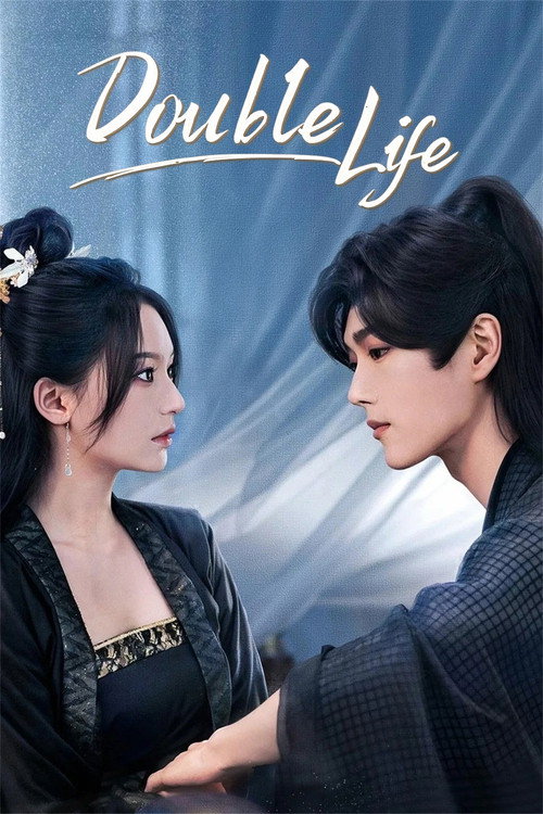Double Life poster