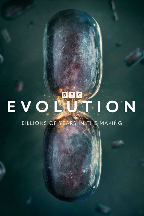 Evolution poster