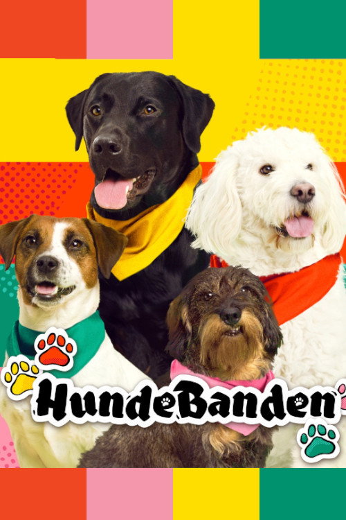 HundeBanden poster
