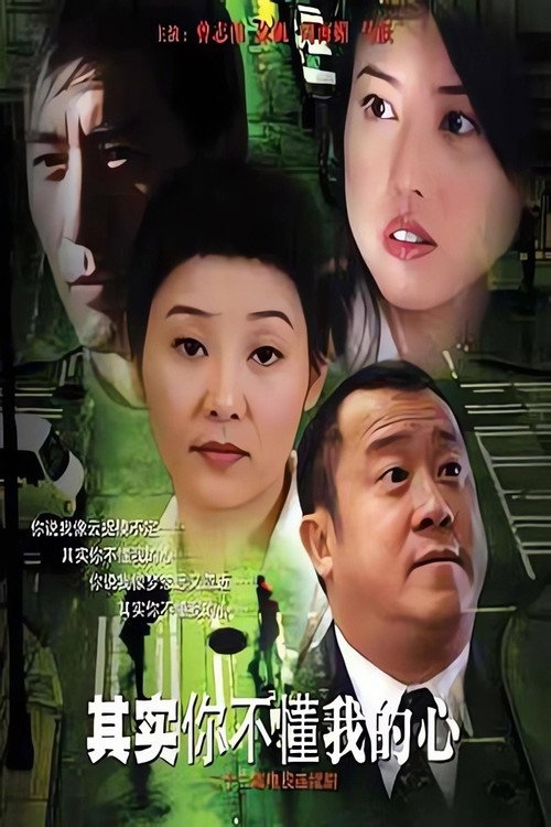 其实你不懂我的心 poster