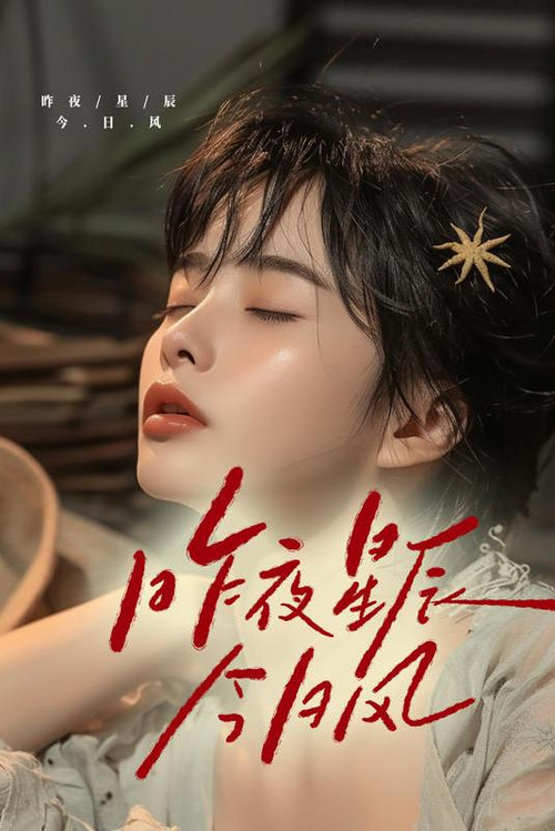 昨夜星辰今日风 poster