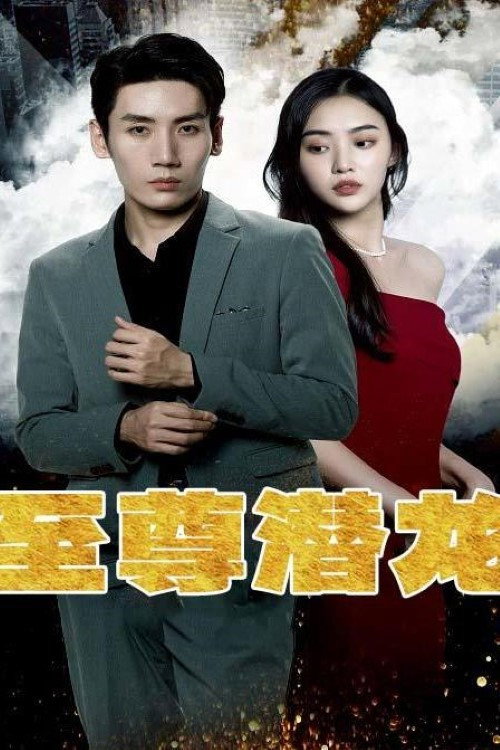 至尊潜龙 poster