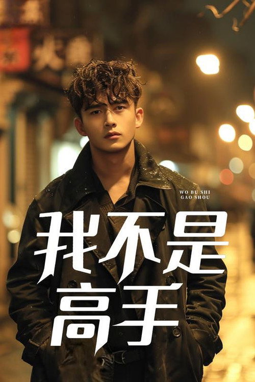 我不是高手 poster