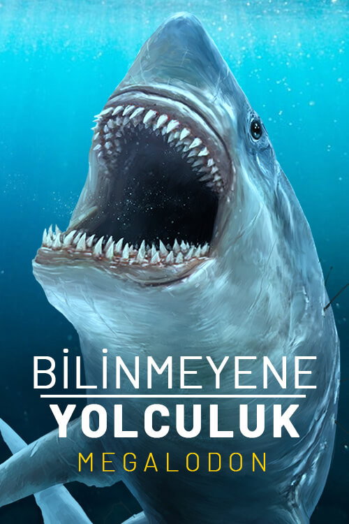 Expedition Unknown: Megaladon poster