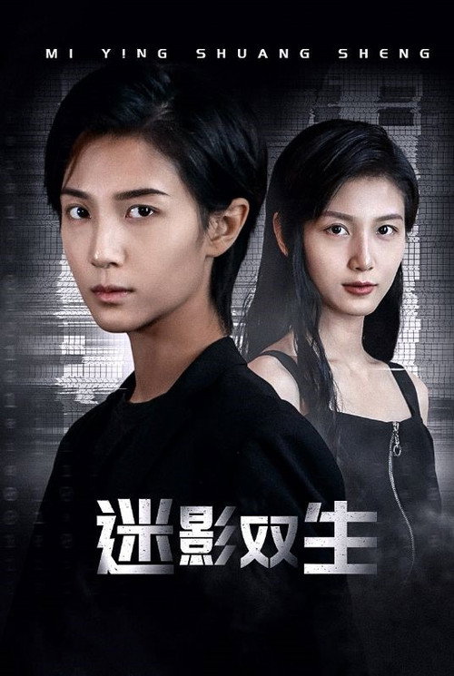 迷影双生 poster