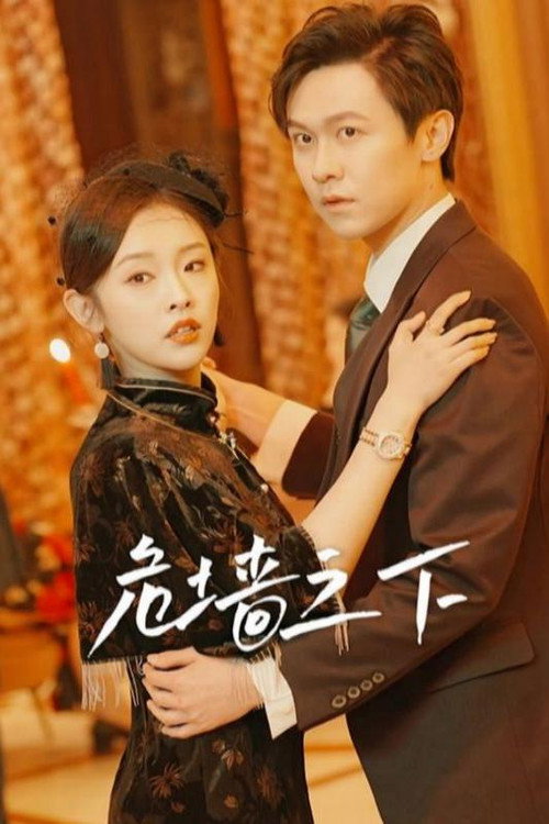 危墙之下 poster