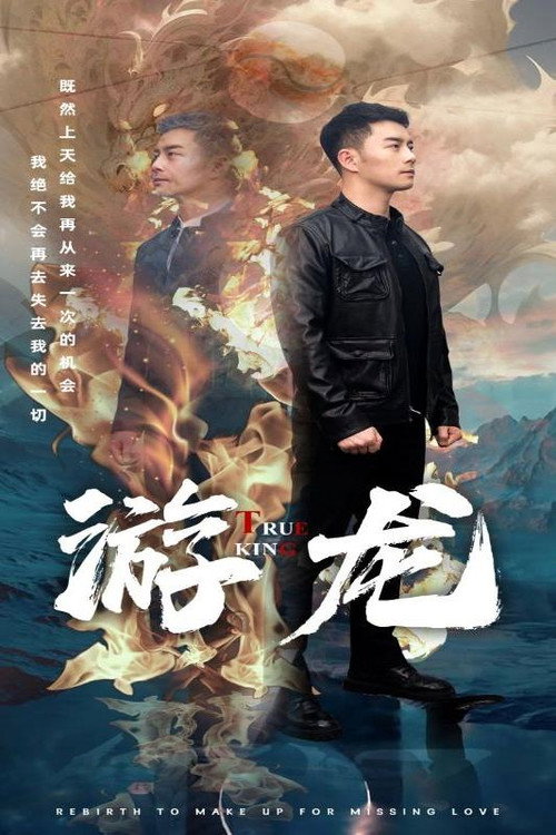 游龙 poster