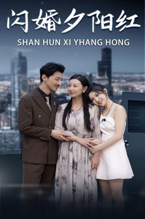 闪婚夕阳红 poster