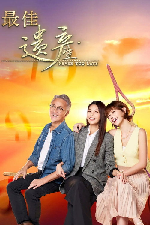 Never Too Late poster