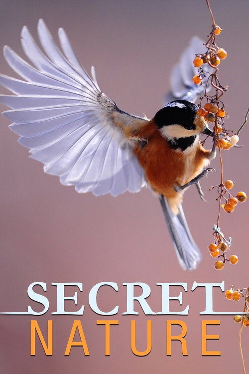 Secret Nature poster