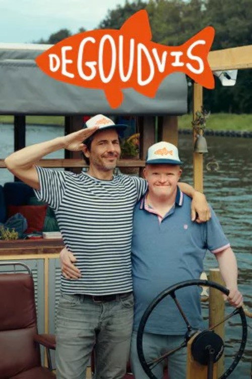 De Goudvis poster