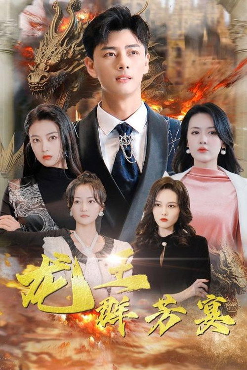 龙王群芳宴 poster