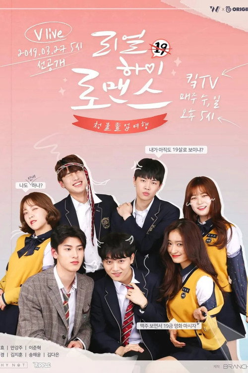 Real High School Romance poster