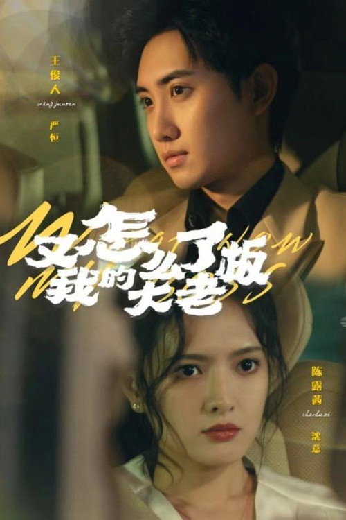 又怎么了我的大老板 poster