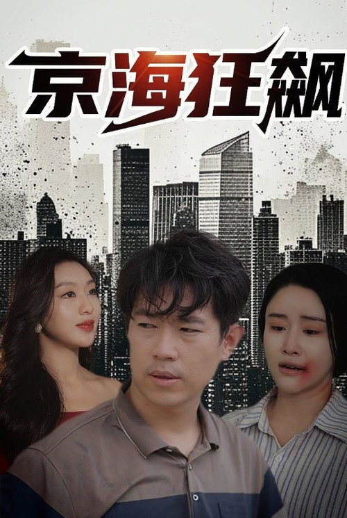 京海狂飙 poster