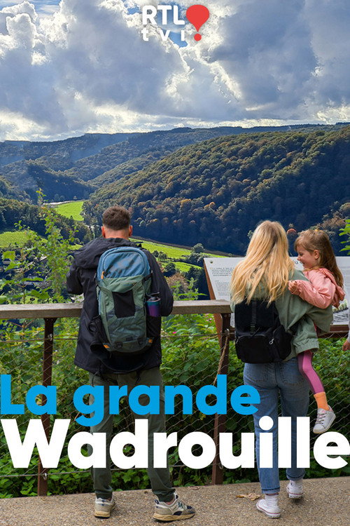 La Grande Wadrouille poster