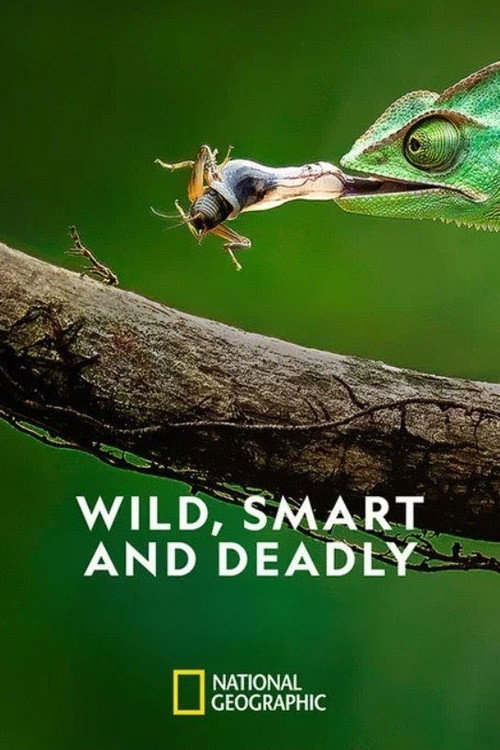 Wild, Smart and Deadly poster