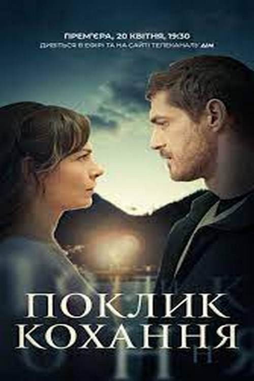 The Call of Love poster