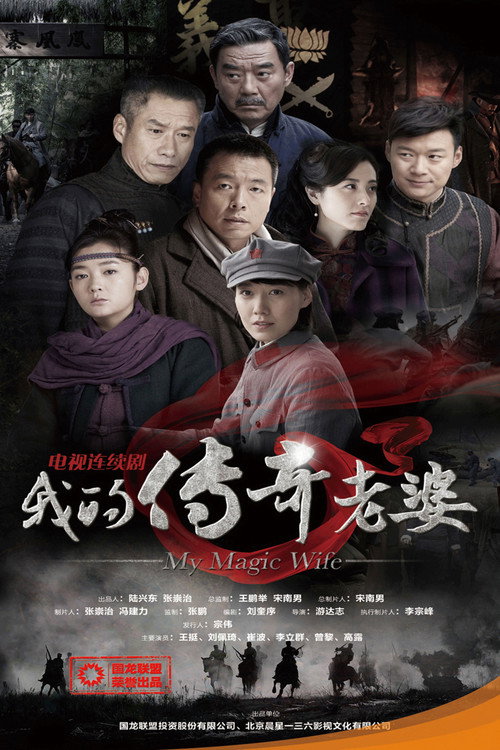 我的传奇老婆 poster