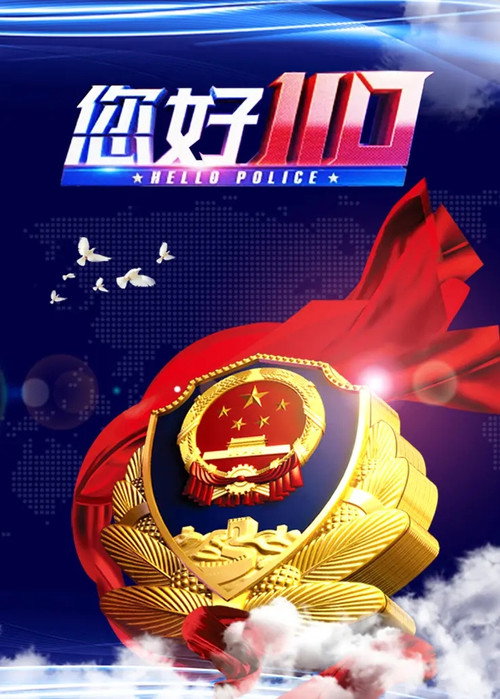 您好,110 poster