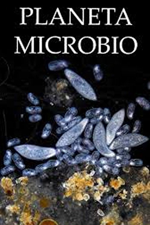 Planeta Microbio poster