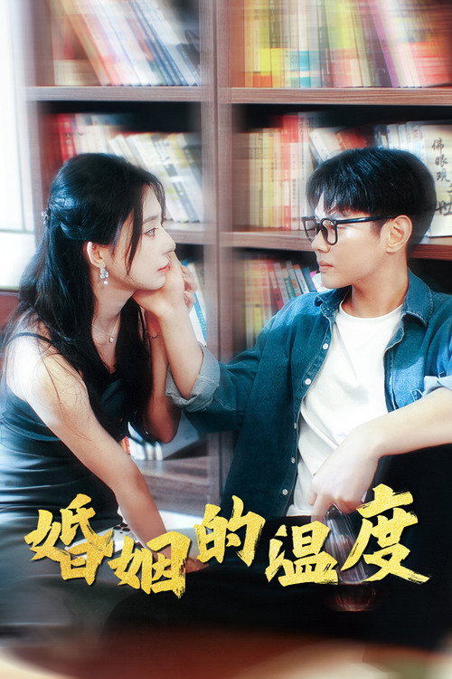 婚姻的温度 poster