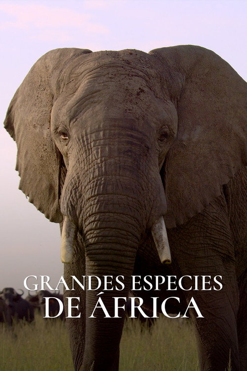 Great Species of Africa poster