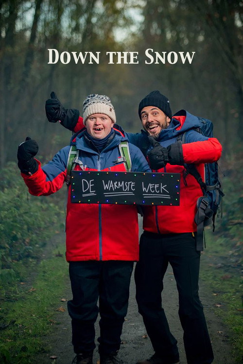 Down the Snow poster