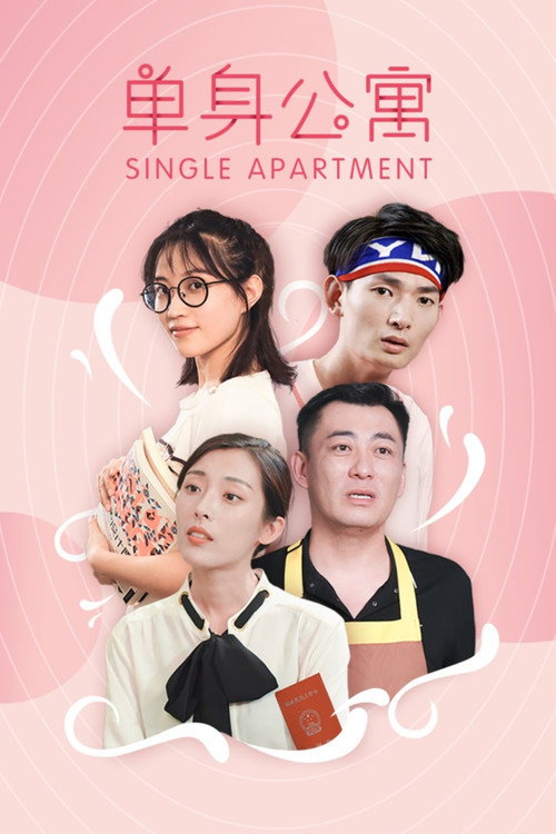 单身公寓 poster