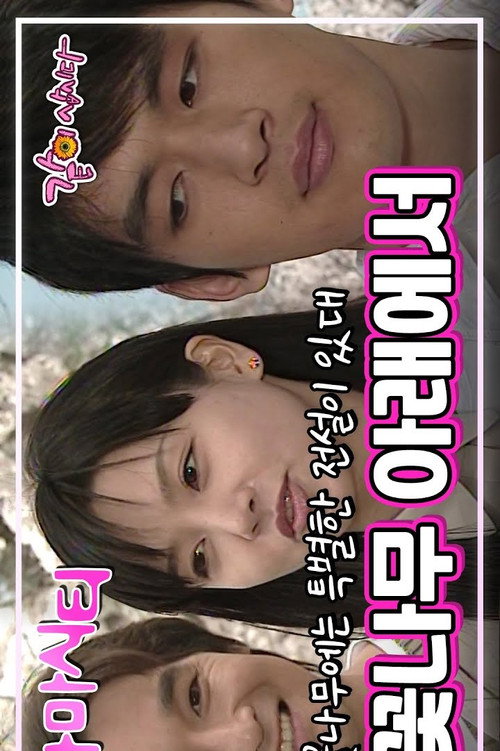 Drama City: Under the Cherry Blossoms poster