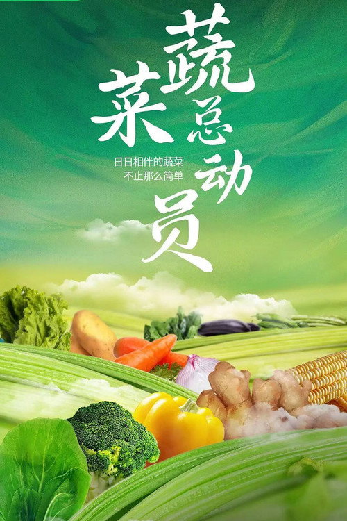 蔬菜总动员 poster