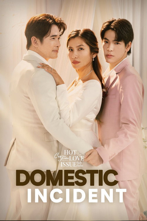 Club Friday the series 16: Domestic Incident poster
