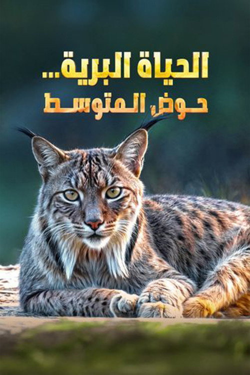 Wild Mediterranean poster