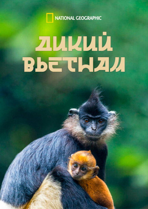 Wild Vietnam poster