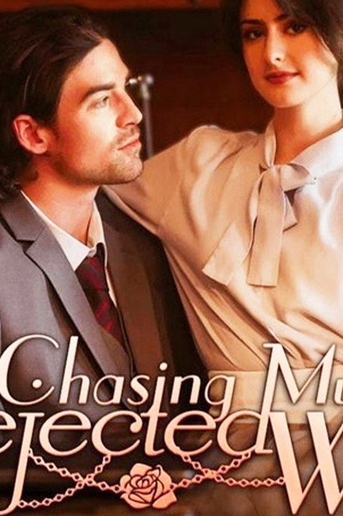 Chasing My Rejected Wife poster