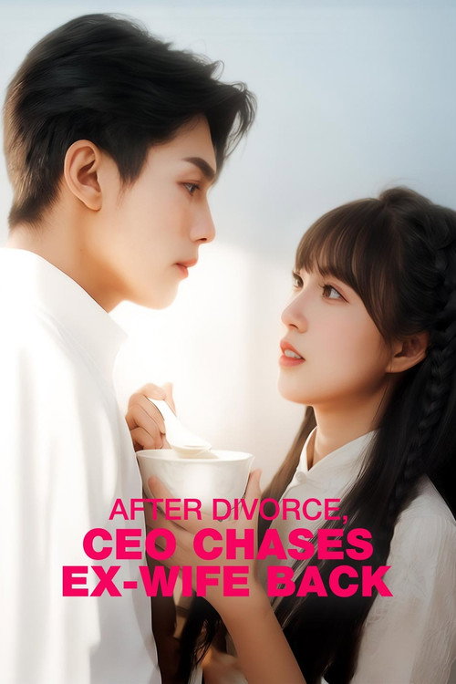 After Divorce, CEO Chases Ex-Wife Back poster