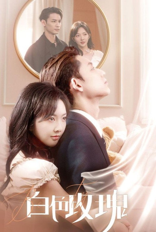 白色玫瑰 poster