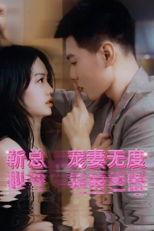 靳总宠妻无度 poster