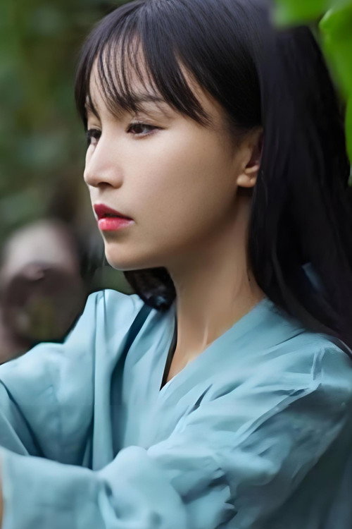 李子柒全集 poster