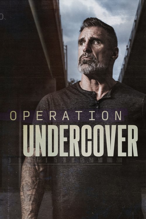 Operation Undercover poster