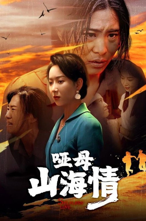 哑母山海情 poster