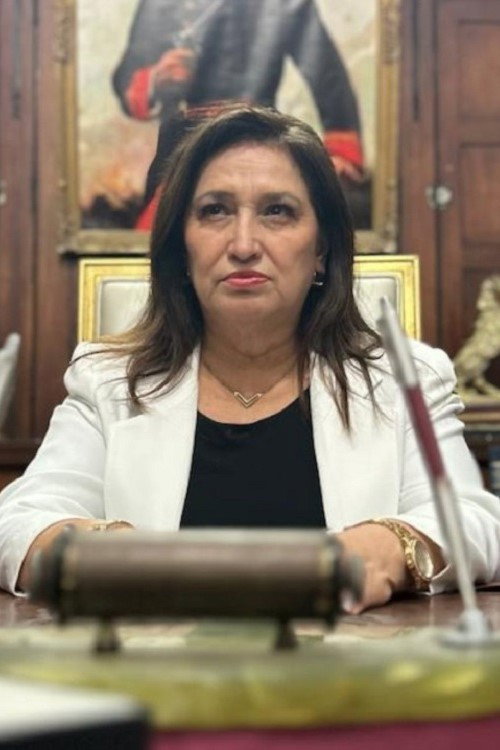 Los Waykis poster