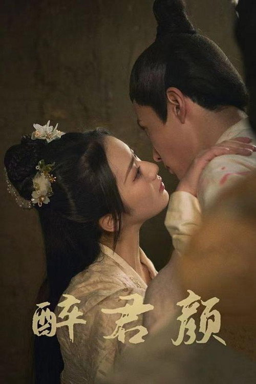 醉君颜 poster